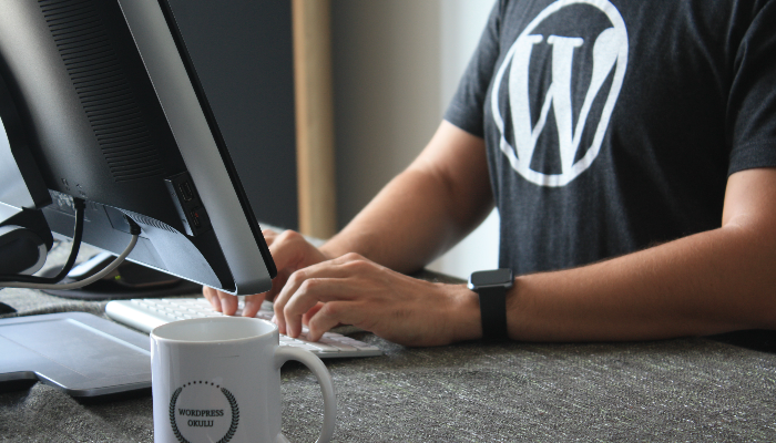 WordPress altyapısı ile kaliteli web siteleri yapıyorum.