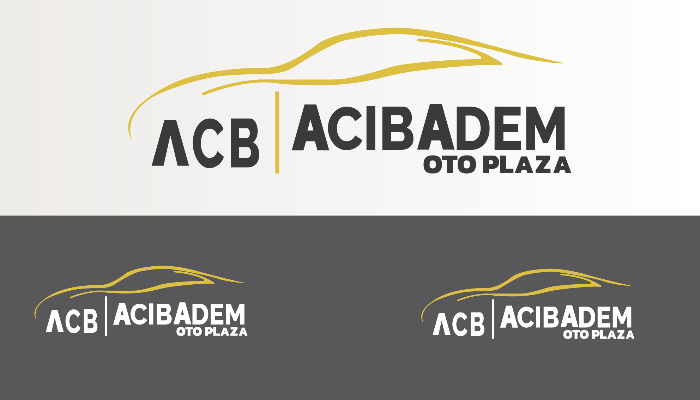 Ben Profesyonel logo tasarım yaparım