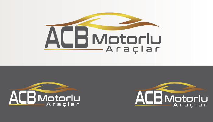 Ben Profesyonel logo tasarım yaparım