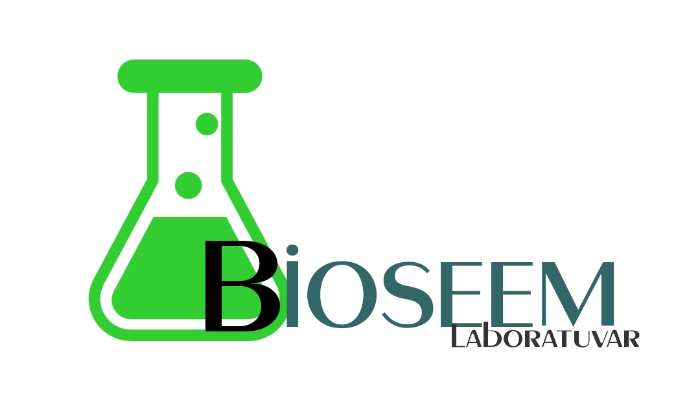 Grafik Tasarım mezunuyum uygun fiyata logo tasarımı yapabilirim