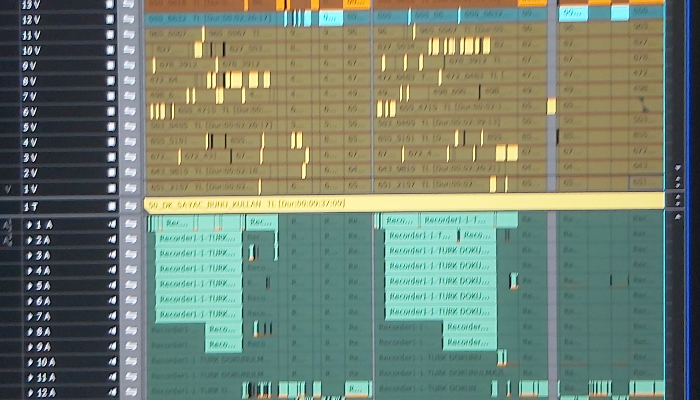 Profesyonel Kurgu hizmeti