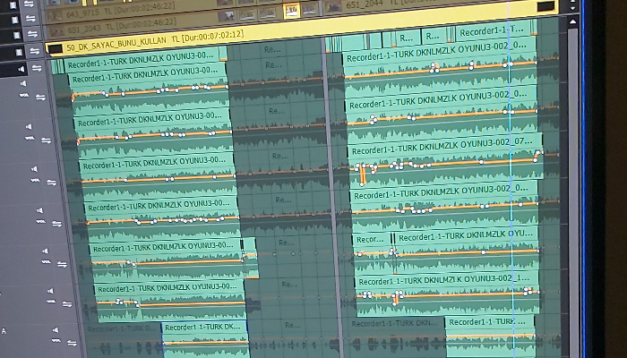 Profesyonel Kurgu hizmeti